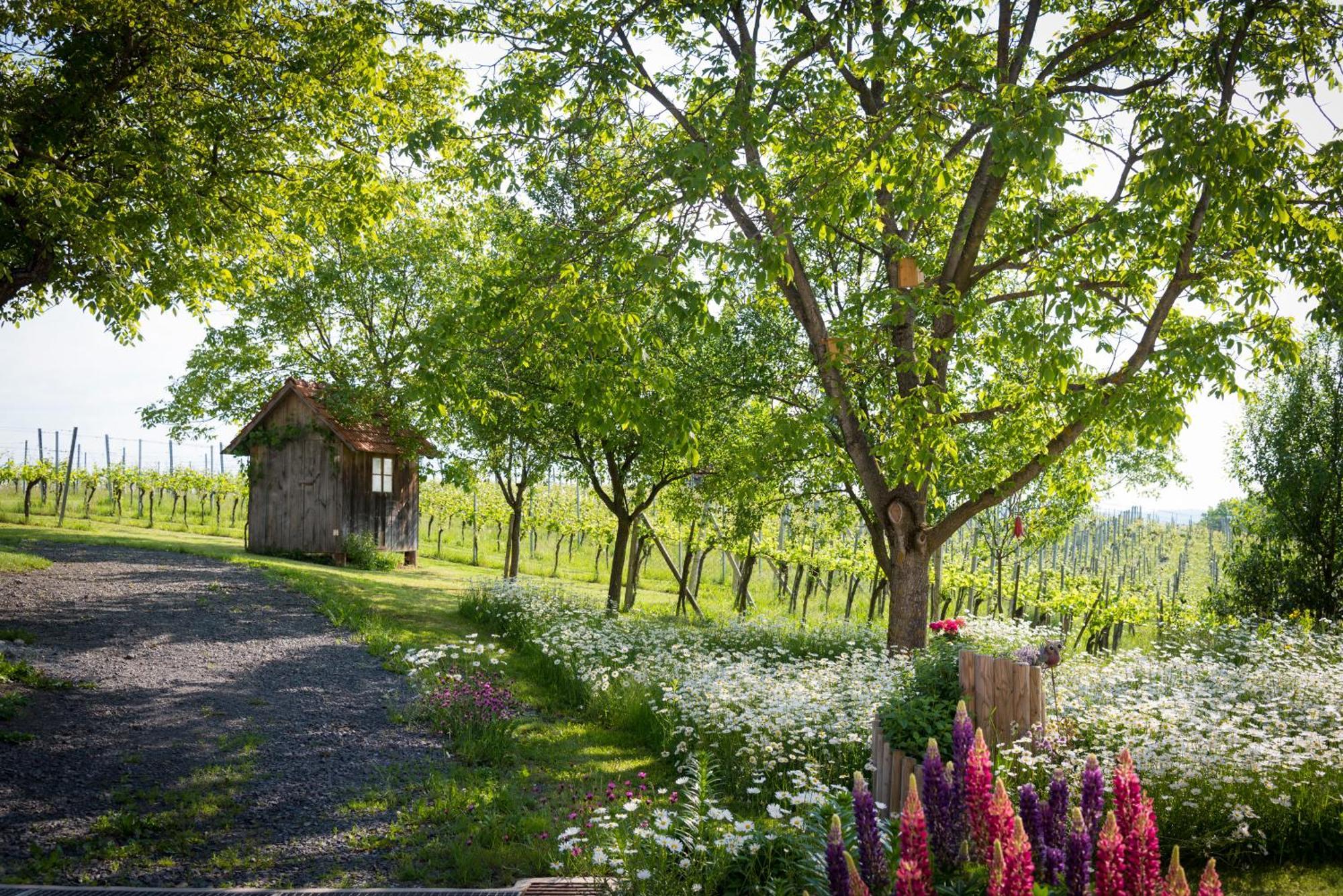 Weinhof Reichmann Bed & Breakfast Sankt Peter am Ottersbach Luaran gambar